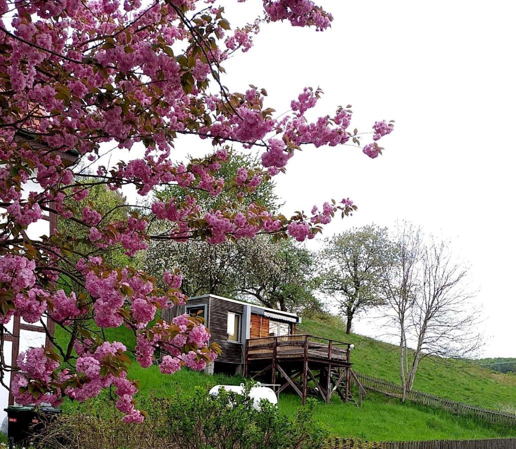Tiny House Mit Klima Und Heizung, In Idyllischer Ortsrandlage Iba Exterior photo